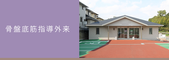 骨盤底筋指導外来